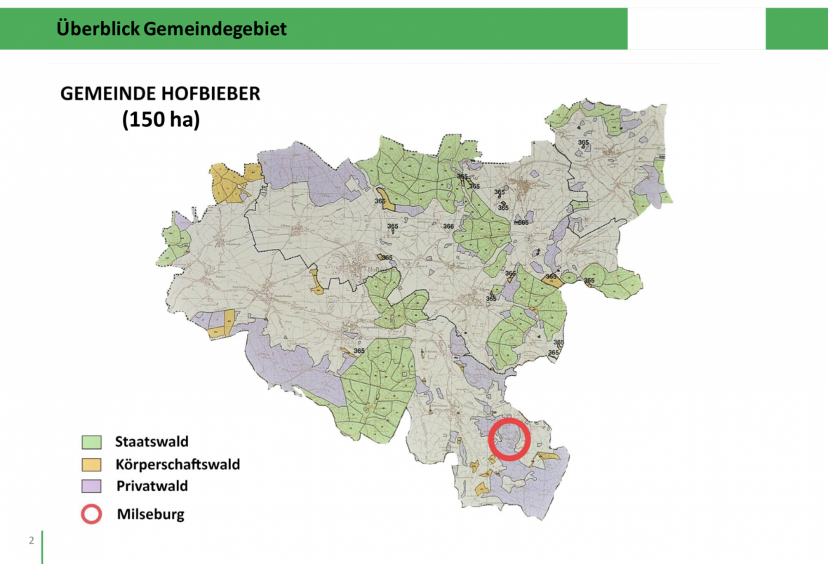 Gemeinsam mit dem Wald in die Zukunft