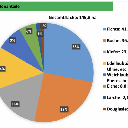 Größeres Bild ansehen